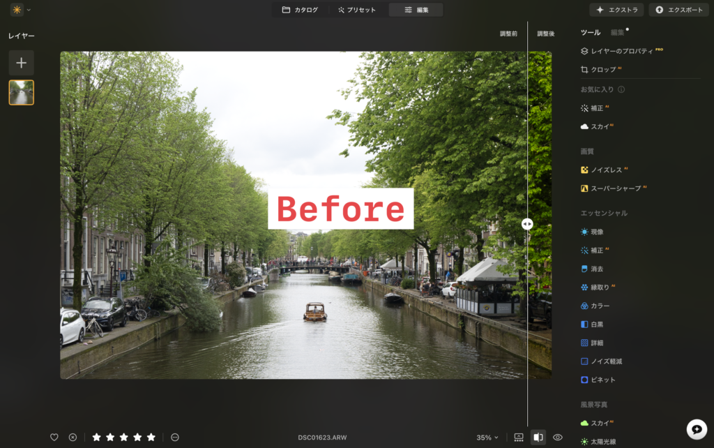 Luminar Neo Before